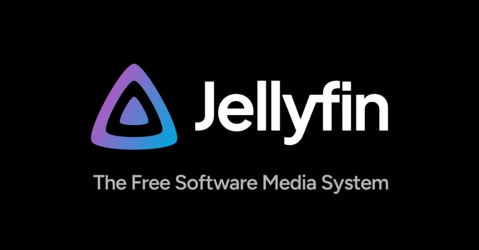 Jellyfin Reverse Proxy Setup Guide Using Nginx Proxy Manager